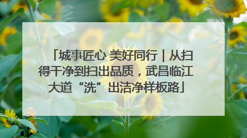 城事匠心 美好同行｜从扫得干净到扫出品质，武昌临江大道“洗”出洁净样板路