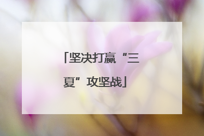 坚决打赢“三夏”攻坚战