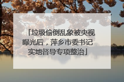 垃圾偷倒乱象被央视曝光后，萍乡市委书记实地督导专项整治