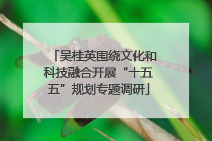 吴桂英围绕文化和科技融合开展“十五五”规划专题调研