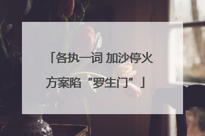 各执一词 加沙停火方案陷“罗生门”