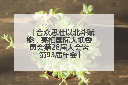 合众思壮以北斗赋能，亮相国际大坝委员会第28届大会暨第93届年会