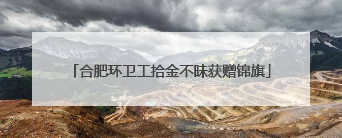 合肥环卫工拾金不昧获赠锦旗