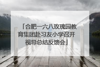 合肥一六八玫瑰园教育集团赴习友小学召开视导总结反馈会