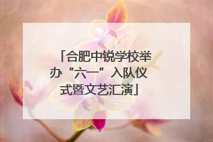 合肥中锐学校举办“六一”入队仪式暨文艺汇演
