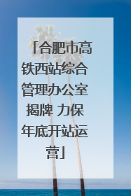 合肥市高铁西站综合管理办公室揭牌 力保年底开站运营