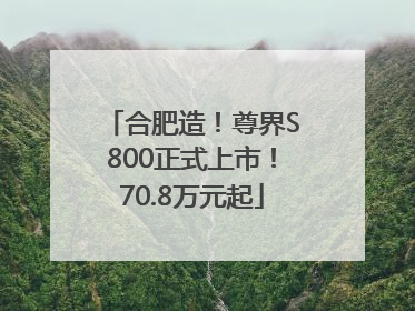 合肥造！尊界S800正式上市！70.8万元起