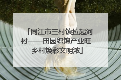 同江市三村镇拉起河村——田园织锦产业旺 乡村焕彩文明浓