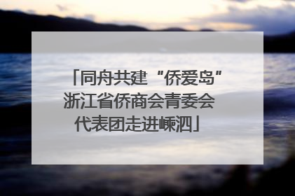 同舟共建“侨爱岛” 浙江省侨商会青委会代表团走进嵊泗