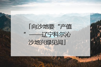 向沙地要“产值”——辽宁科尔沁沙地兴绿见闻