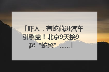 吓人，有蛇藏进汽车引擎盖！北京9天接9起“蛇警”……