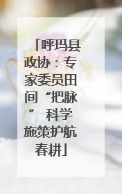 呼玛县政协：专家委员田间“把脉” 科学施策护航春耕