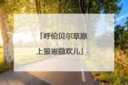 呼伦贝尔草原上狼崽撒欢儿