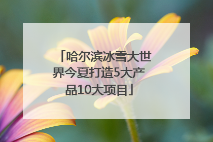 哈尔滨冰雪大世界今夏打造5大产品10大项目