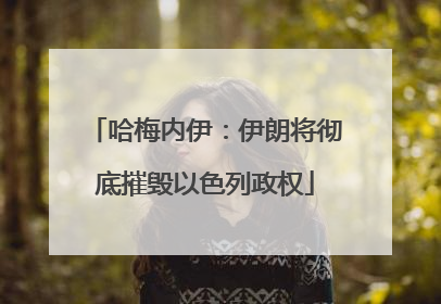 哈梅内伊：伊朗将彻底摧毁以色列政权