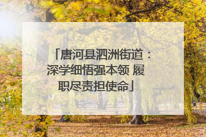 唐河县泗洲街道：深学细悟强本领 履职尽责担使命