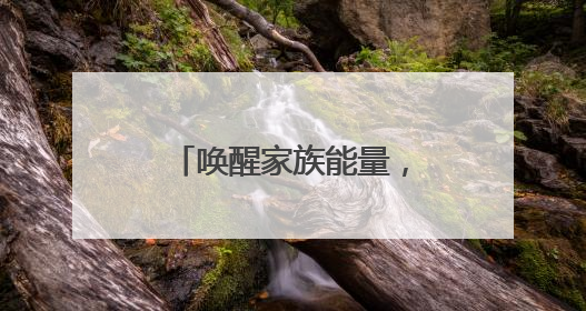 唤醒家族能量，让爱生根发芽——第六届菏泽家庭教育论坛举行
