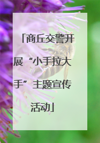 商丘交警开展“小手拉大手”主题宣传活动