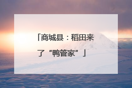 商城县：稻田来了“鸭管家”