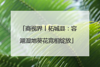 商视界丨柘城县：容湖湿地葵花竞相绽放