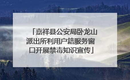 嘉祥县公安局卧龙山派出所利用户籍服务窗口开展禁毒知识宣传
