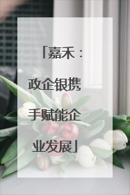 嘉禾：政企银携手赋能企业发展