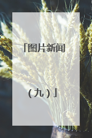 图片新闻（九）