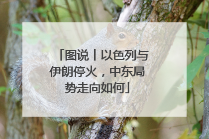 图说丨以色列与伊朗停火，中东局势走向如何