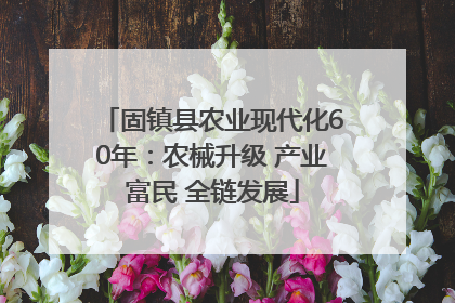 固镇县农业现代化60年：农械升级 产业富民 全链发展