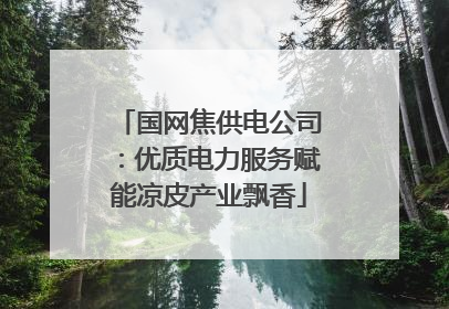 国网焦供电公司：优质电力服务赋能凉皮产业飘香