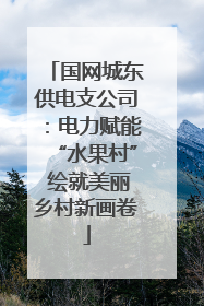 国网城东供电支公司：电力赋能“水果村” 绘就美丽乡村新画卷