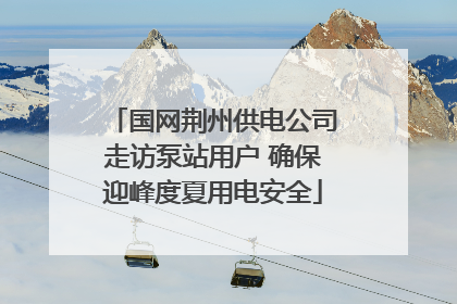 国网荆州供电公司走访泵站用户 确保迎峰度夏用电安全