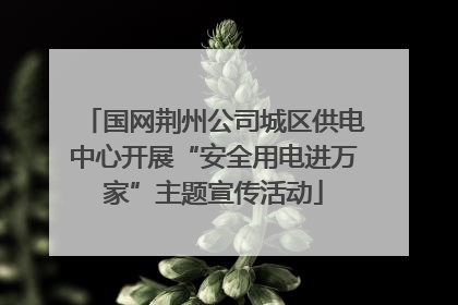 国网荆州公司城区供电中心开展“安全用电进万家”主题宣传活动
