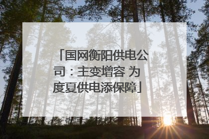 国网衡阳供电公司：主变增容 为度夏供电添保障