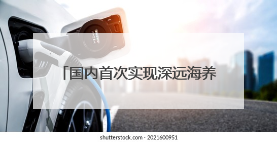 国内首次实现深远海养殖规模化投产 连江80万尾绿鳍马面鲀上市