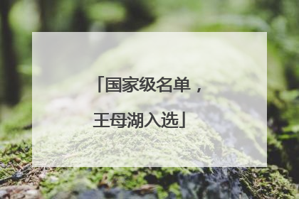 国家级名单，王母湖入选