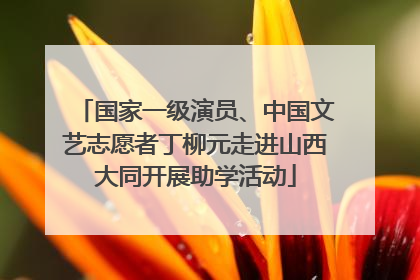 国家一级演员、中国文艺志愿者丁柳元走进山西大同开展助学活动