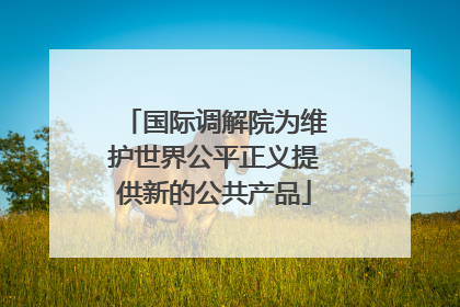 国际调解院为维护世界公平正义提供新的公共产品