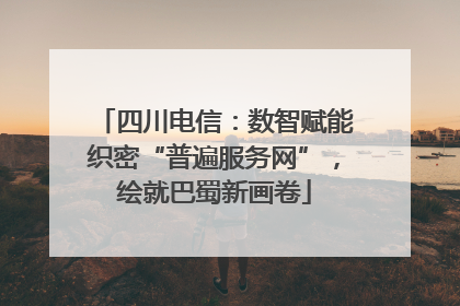 四川电信：数智赋能织密“普遍服务网”，绘就巴蜀新画卷