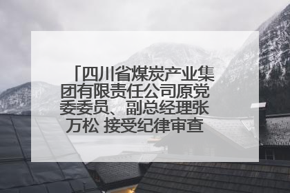 四川省煤炭产业集团有限责任公司原党委委员、副总经理张万松 接受纪律审查和监察调查