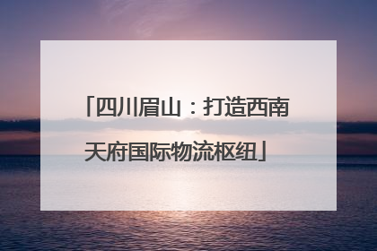 四川眉山：打造西南天府国际物流枢纽