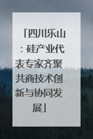 四川乐山：硅产业代表专家齐聚共商技术创新与协同发展