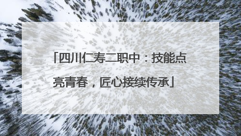 四川仁寿二职中：技能点亮青春，匠心接续传承