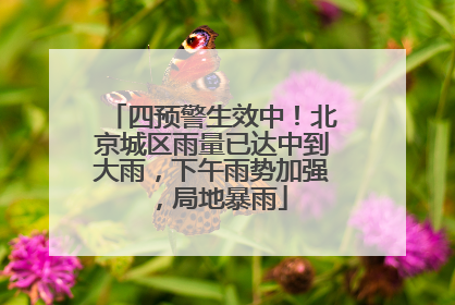 四预警生效中！北京城区雨量已达中到大雨，下午雨势加强，局地暴雨