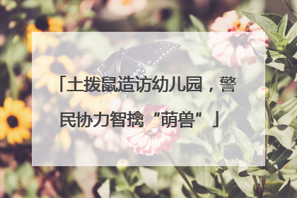 土拨鼠造访幼儿园，警民协力智擒“萌兽”