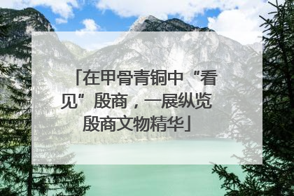 在甲骨青铜中“看见”殷商，一展纵览殷商文物精华