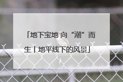 地下宝地 向“潮”而生丨地平线下的风景