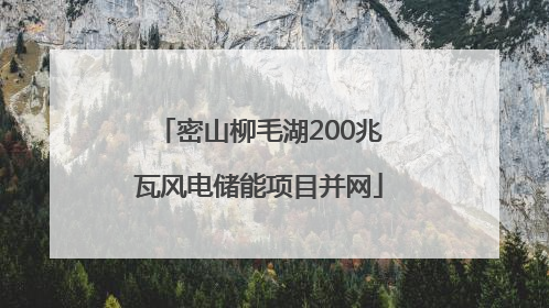 密山柳毛湖200兆瓦风电储能项目并网