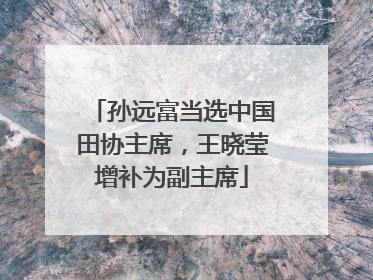 孙远富当选中国田协主席，王晓莹增补为副主席