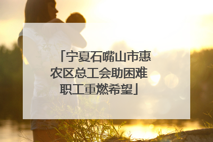 宁夏石嘴山市惠农区总工会助困难职工重燃希望